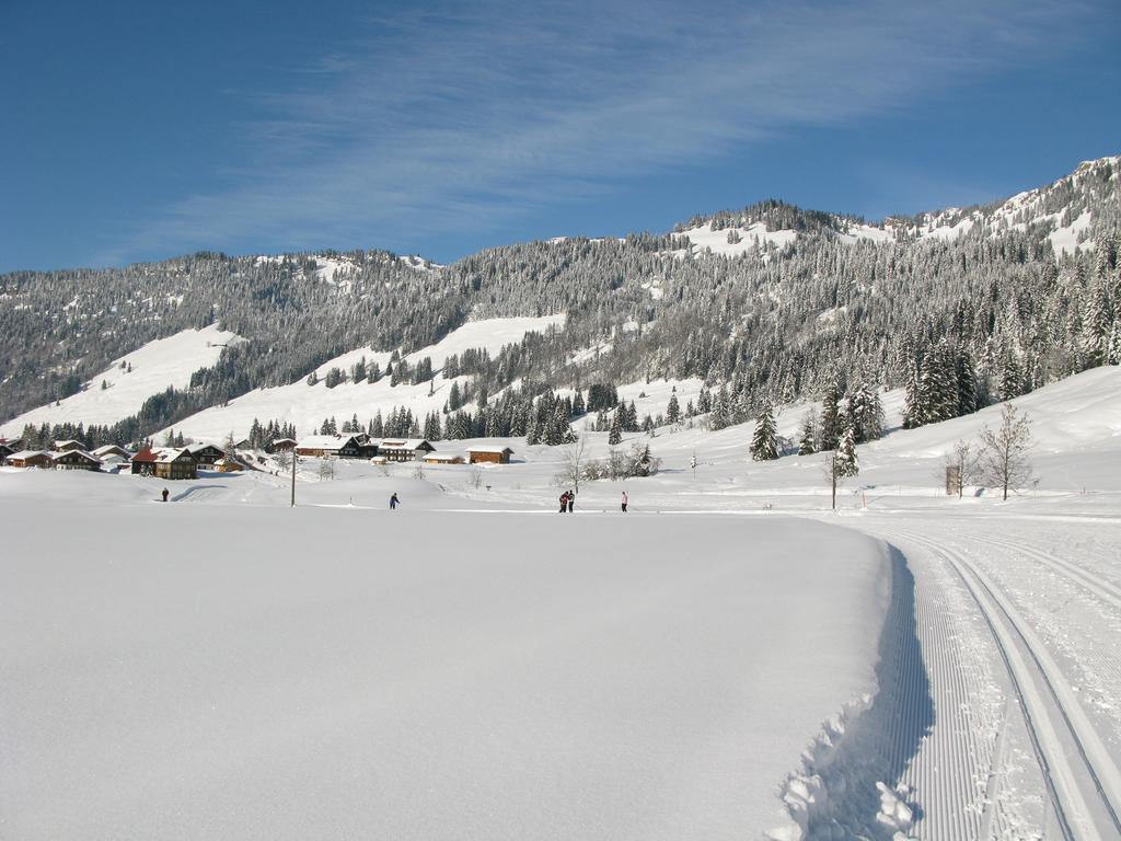 Alpenroesle Apartment Balderschwang Exterior photo